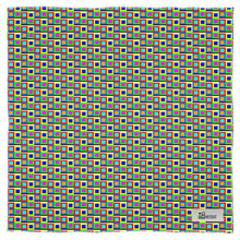 Load image into Gallery viewer, Silk Scarf Wrap - NXTOUS