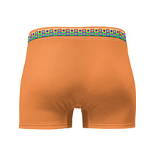 Load image into Gallery viewer, Boxer Briefs - SQ01 -NXTOUS-ORANGE