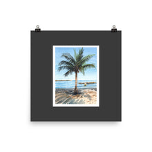 Load image into Gallery viewer, Poster - ONE PALM