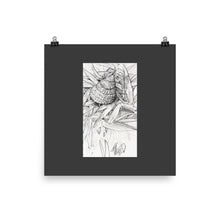 Load image into Gallery viewer, Poster - HERMIT IN THE GRASS