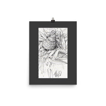 Load image into Gallery viewer, Poster - HERMIT IN THE GRASS