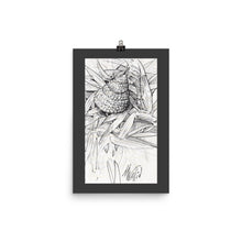 Load image into Gallery viewer, Poster - HERMIT IN THE GRASS