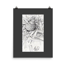 Load image into Gallery viewer, Poster - HERMIT IN THE GRASS