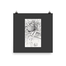 Load image into Gallery viewer, Poster - HERMIT IN THE GRASS