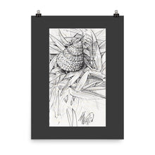 Load image into Gallery viewer, Poster - HERMIT IN THE GRASS