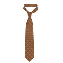 Load image into Gallery viewer, Silk Tie - NXTOUS Gold&#39;s Diamonds
