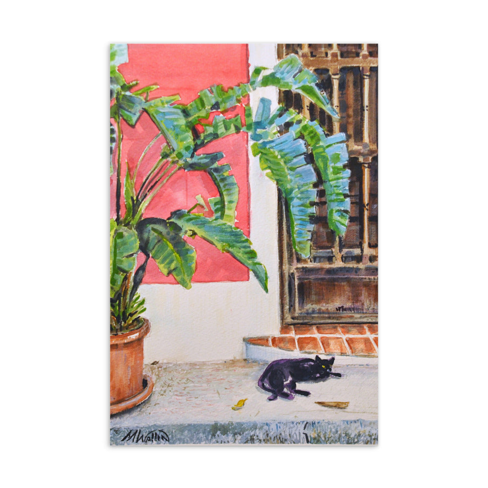 Standard Postcard - CAT IN THE DOORWAY